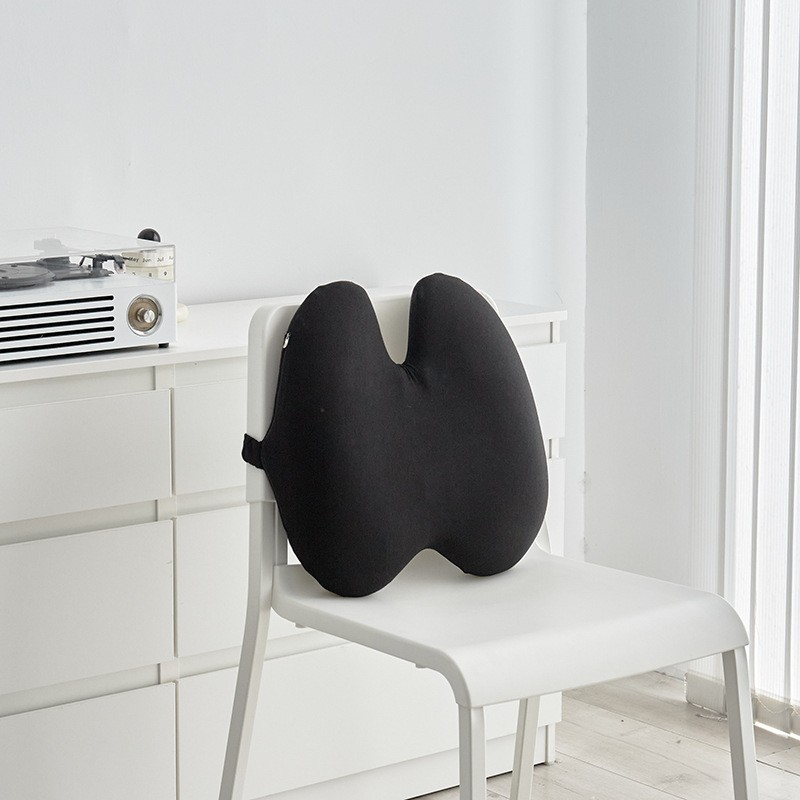 AVERN™ Lumbar Support Pillow
