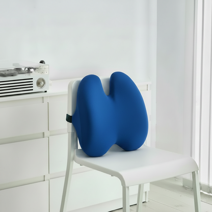 AVERN™ Lumbar Support Pillow